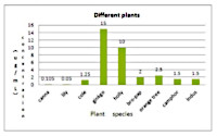 ABA | Abscisic acid ELISA quantitation trial kit (24T) in the group Antibodies Plant/Algal / Hormones / Plant hormone ELISA kits at Agrisera AB (Antibodies for research) (AS20 4392-24)